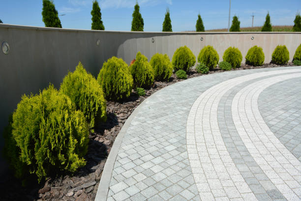 Best Commercial Driveway Pavers  in Buda, TX
